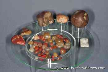 Author Anne Bronte was skilled rock collector, researchers reveal - Barrhead News