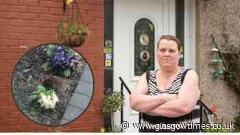 'As big as a cat': Barrhead mum issues plea for help to tackle rat infestation - Glasgow Times