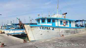 Uno de los tres pescadores intoxicados que arribaron en Progreso sigue en coma - El Diario de Yucatán