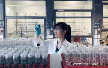 Dall’Irlanda la “spugna” in grado di catturare inquinanti dall’aria - Rinnovabili