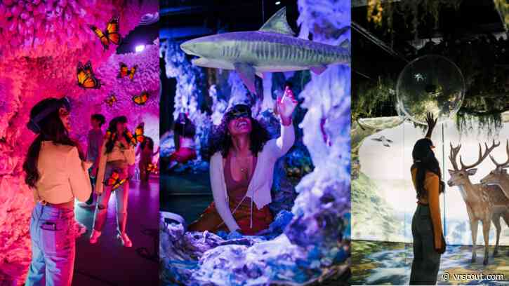 This Environmental Art Exhibit Is Powered By Mixed Reality