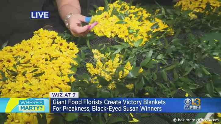 Where’s Marty? Learning How The Preakness Victory Blankets Are Assembled