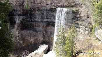 Things to do in Hamilton this May 2-4 weekend - CBC.ca