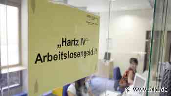 Hartz IV: Ampel stoppt Strafen für lustlose Stütze-Empfänger - BILD
