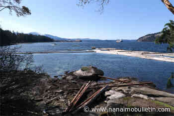 Nanaimo council votes to increase natural buffer zone around Cable Bay Trail