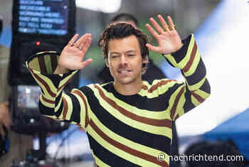 Die beliebtesten Harry Styles-Momente im Internet - nachrichtend.com