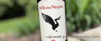 Surprenant rouge à 15$