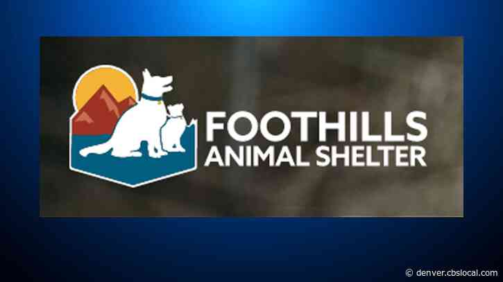 Foothills Animal Shelter Suspends Bird Intakes After Avian Influenza Detected
