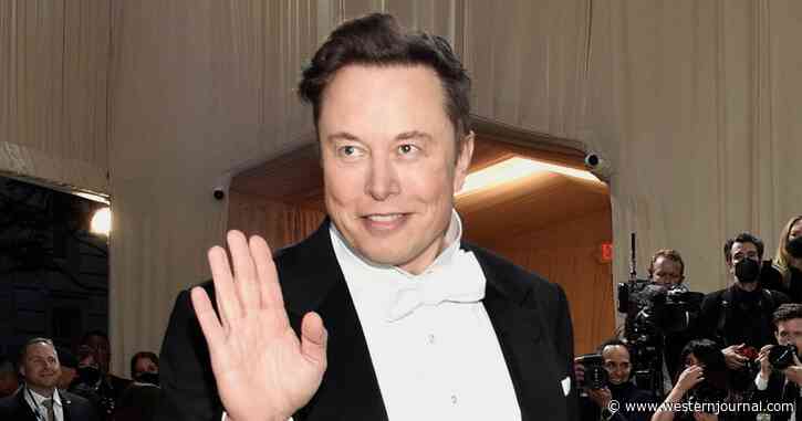 Elon Fires Back After Accuser Comes Out of Nowhere, Issues Her a Single Ingenious Challenge
