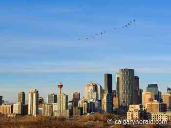COVID-19 Live Updates: News on coronavirus in Calgary for May 20 - Calgary Herald