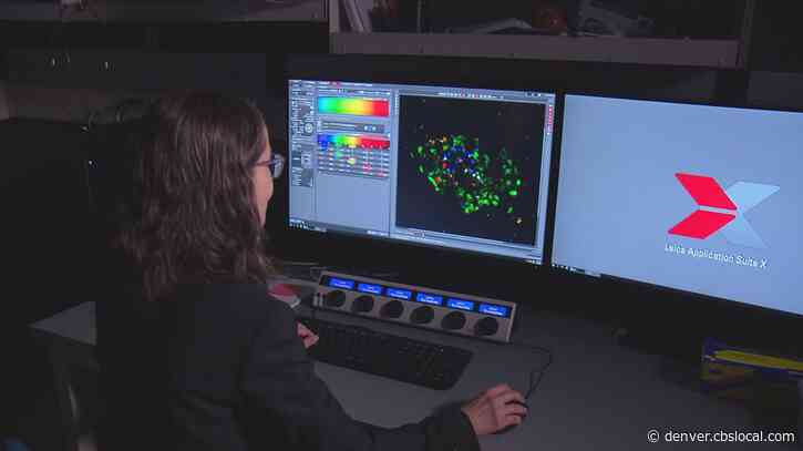 Colorado Researchers Working Toward A Cure For Type 1 Diabetes
