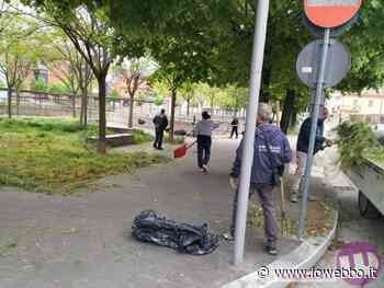 SORA ECOLOGICA, BUONA LA PRIMA! - ioWebbo