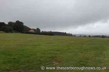 Whitby Cemetery: Search which 'has been extensive and exhaustive' goes on for new site - The Scarborough News