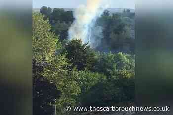 VIDEO: Firefighters called out as blaze breaks out at Whitby's Pannett Park - The Scarborough News