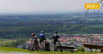 Der Michaelsberg bei Bruchsal: Weiter Blick und blühende Orchideen - BNN - Badische Neueste Nachrichten