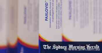 COVID-19: Coronavirus antiviral Paxlovid is being underused while deaths increase, doctors warn - Sydney Morning Herald