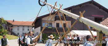 Freistaat Einham« – Zur 40-Jahr-Feier Maibaum aufgestellt - Traunsteiner Tagblatt