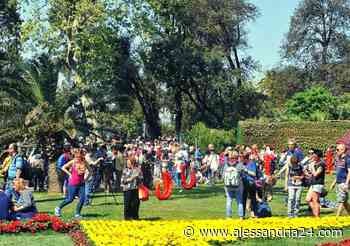 All'Euroflora di Genova presente anche Ovada con i suoi filari di Dolcetto - Alessandria24.com - Alessandria24.com