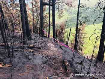 Forest fire in northern New Hampshire is nearly contained - WCAX