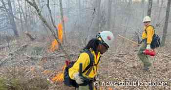 Prescribed burns in Missouri's Mark Twain National Forest - St. Louis Public Radio