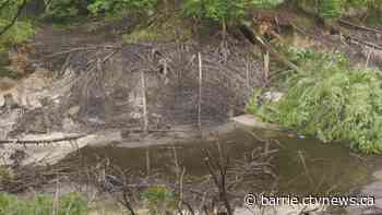 Copeland Forest trail repairs underway after damaging washout - CTV News Barrie
