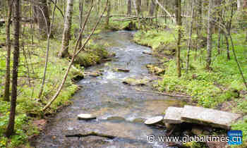 Scenery of Xishui National Forest Park in Yichun, NE China - Global Times