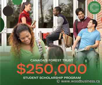 Canada's Forest Trust creates $250K scholarship program - Wood Business - Canadian Forest Industries
