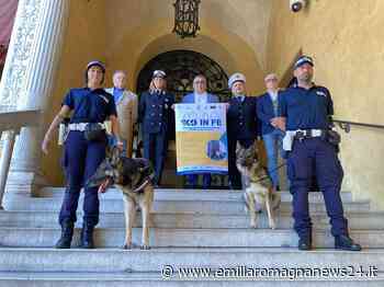 A Ferrara il primo convegno nazionale dedicato alle unità cinofile, con cani e conduttori da tutta Italia - Emilia Romagna News 24