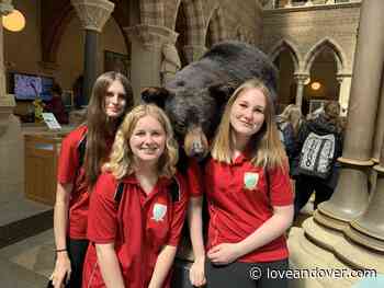 Harrow Way recognises committed readers with exciting rewards trips - Love Andover