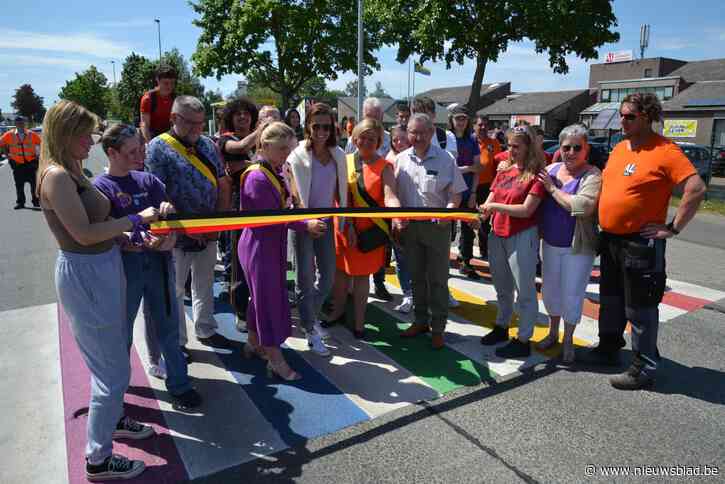 Liedekerke heeft nu ook regenboogzebrapad