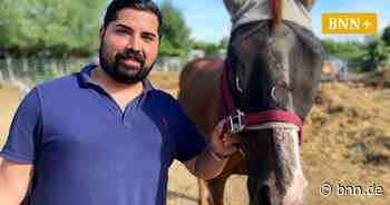 Wie die traumatisierten Pferde in Dettenheim behandelt werden - BNN - Badische Neueste Nachrichten