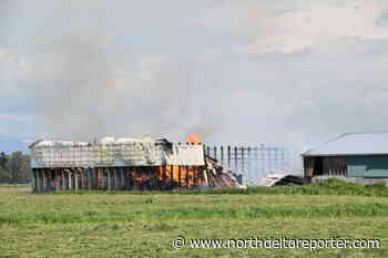 VIDEO: Fire destroys farm property structure on Abbotsford’s Sumas Prairie - North Delta Reporter