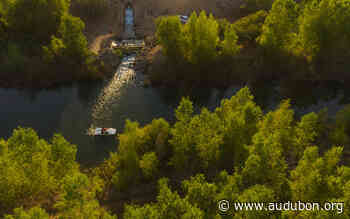 Water for the Colorado River Delta in a Dry Year - National Audubon Society