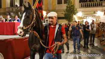 Palio, i giochi di Fucecchio. Boato per Zarck, Atzeni verso S.Andrea - LA NAZIONE