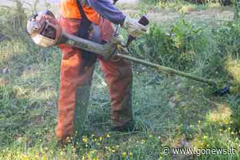 Sottobosco e terreni incolti, i privati di Fucecchio devono pulire entro fine maggio - gonews