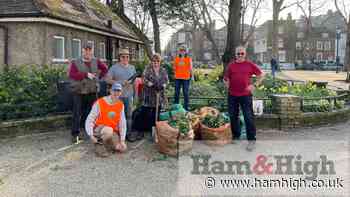 Highgate Society on Camden and Haringey guerrilla gardening - Hampstead Highgate Express