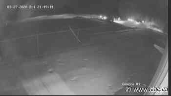 Son of accused murderer recounts shooting deaths at murder trial