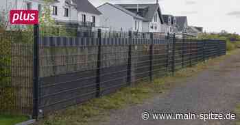 Illegale Zäune in Bischofsheim: Abreißen oder stehen lassen? - Main-Spitze