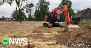 Bos in Kinrooi illegaal gekapt, Limburgse Milieukoepel dient een klacht in - VRT NWS