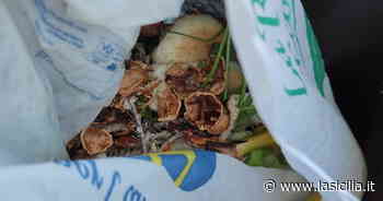 A proposito della raccolta differenziata a Gravina di Catania - La Sicilia