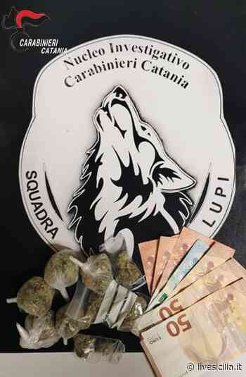 Catania, trasportava marijuana in bici: denunciato - Livesicilia.it