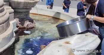 Catania, la fontana di Piazza Duomo come un lavatoio: e il video diventa virale sul web - La Sicilia