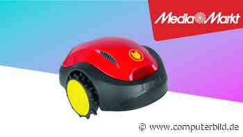 Mähroboter-Deal: Wolf-Garten bei Media Markt 10 Prozent günstiger - COMPUTER BILD - COMPUTER BILD