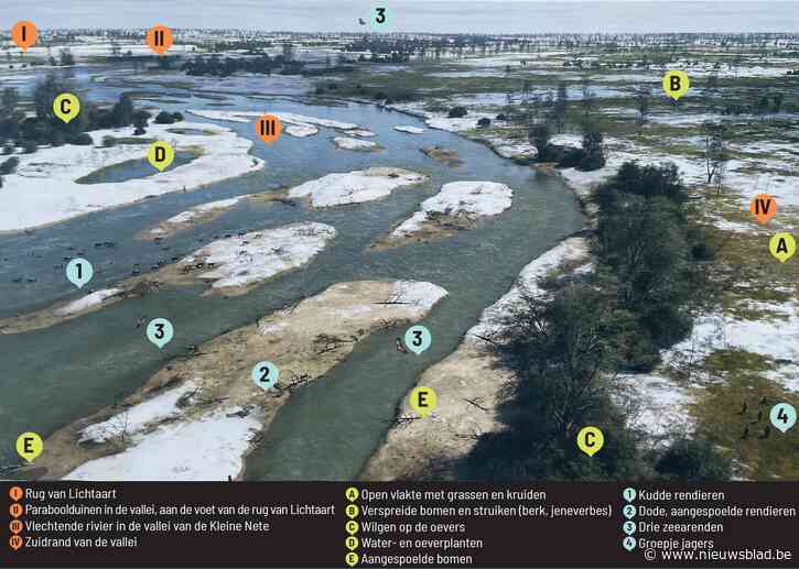 Op pad met rendieren en zeearenden: zo zag Nete-landschap er 12.000 jaar geleden uit
