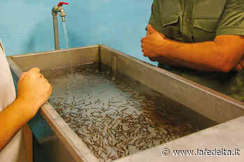 Fossano, si inaugura il nuovo incubatoio ittico - La Fedeltà