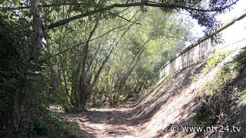 Benevento, Rosa: 'Rimossi i rifiuti gettati nell'alveo del fiume Sabato' - NTR24