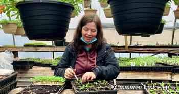 Planting season in Cape Breton - SaltWire CB powered by Cape Breton Post