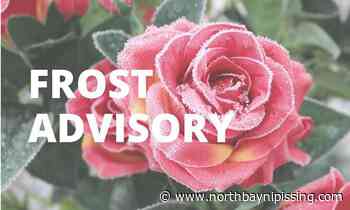 Frost advisory ended for North Bay, Powassan, West Nipissing areas - NorthBayNipissing.com