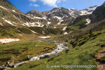Reclaman a Pedro Sánchez que dé la máxima relevancia política a la crisis de biodiversidad • Ecologistas en Acción - Ecologistas en Acción
