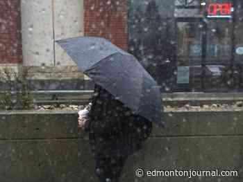 Edmonton weather: I won't freeze this weekend while camping, will I? - Edmonton Journal